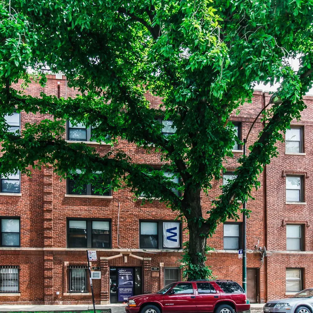 3249–51 N. Damen Ave.: Before · 2022