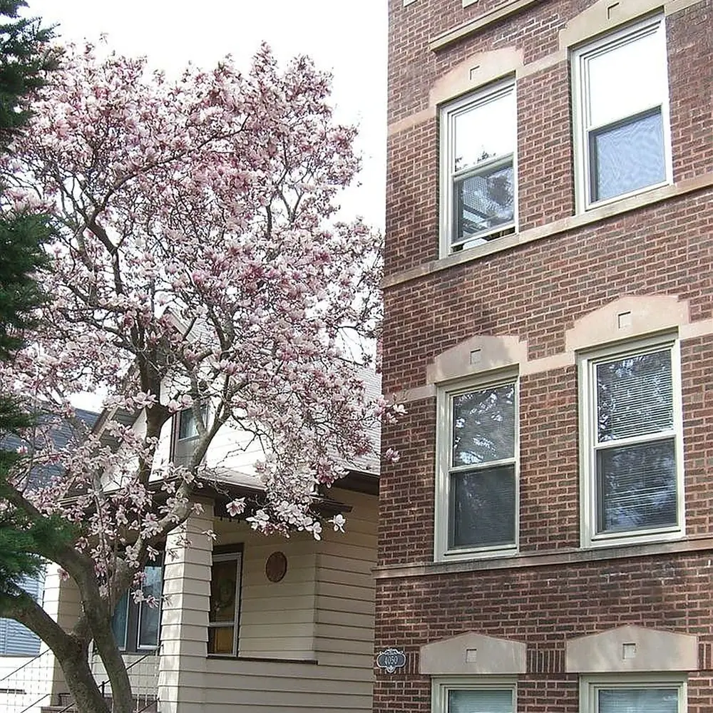 4050–52 N. Central Park Ave.: Front on Central Park Ave.